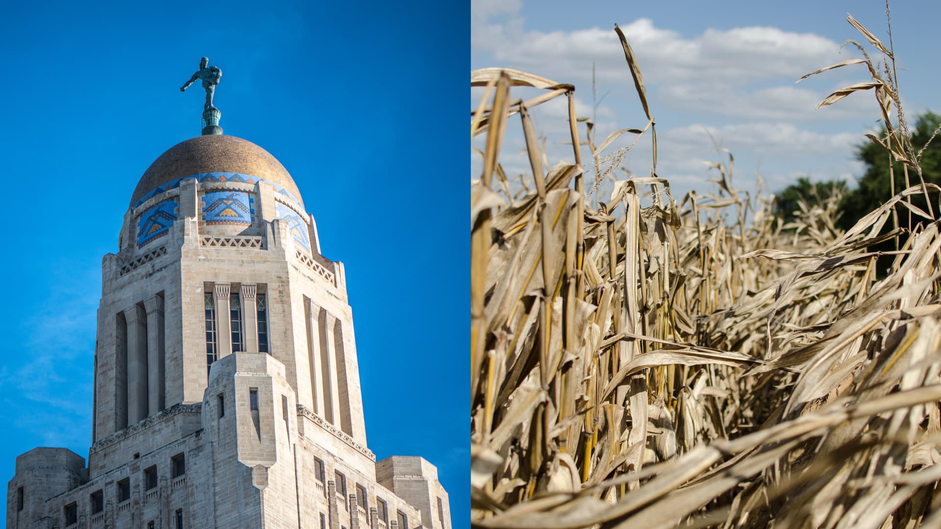 Lincoln Capitol and Cornfield for Theobald Campaign Agency 877