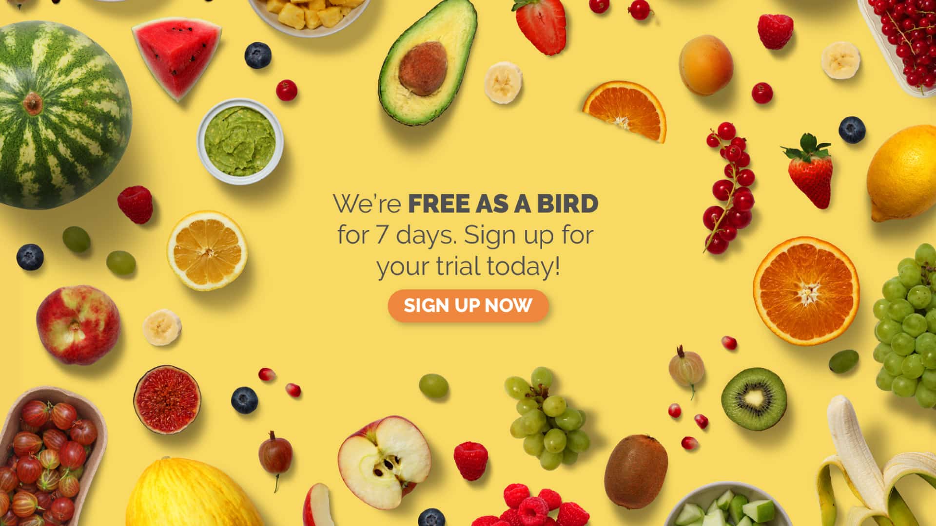 Student Lunch Menu 7 day trial web ad agency 877