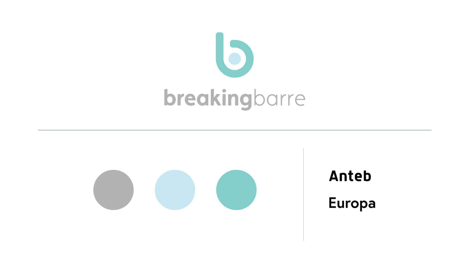 Colors and logo for Breaking Barre’s new branding by 877